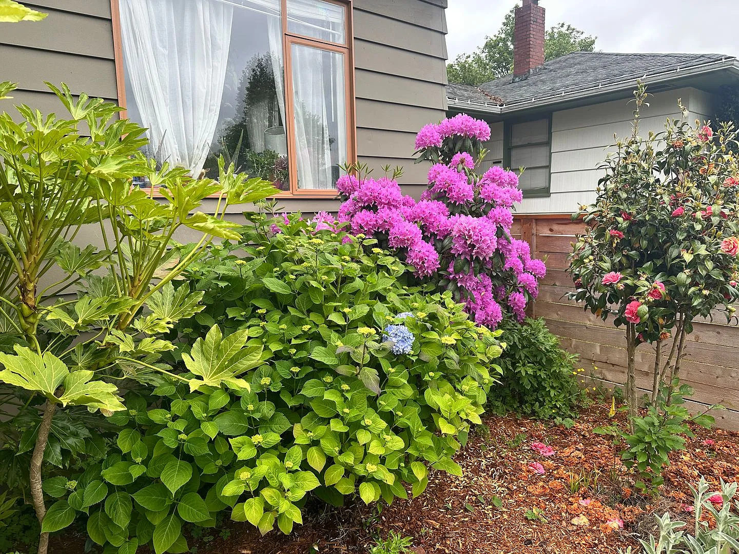 Lovely Fairmount Community Bungalow in West Seattle- $3500 — Photo 2