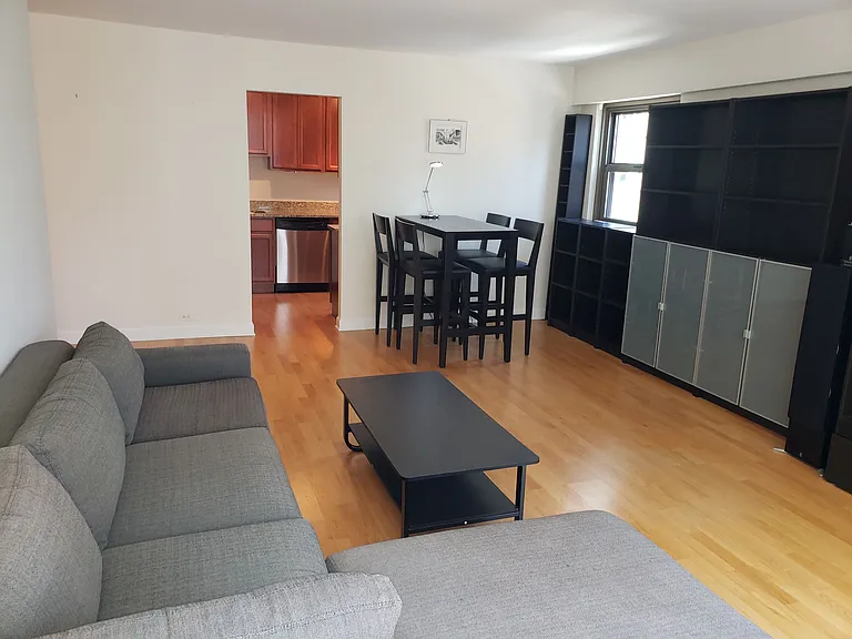 535 N Michigan Ave #1508 — Photo 5
