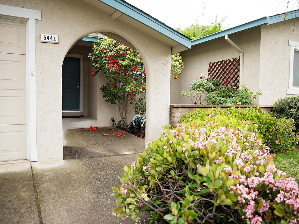 Frontyard