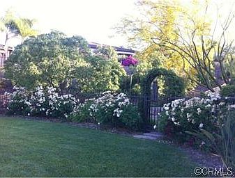 Front lawn and bush in bloom