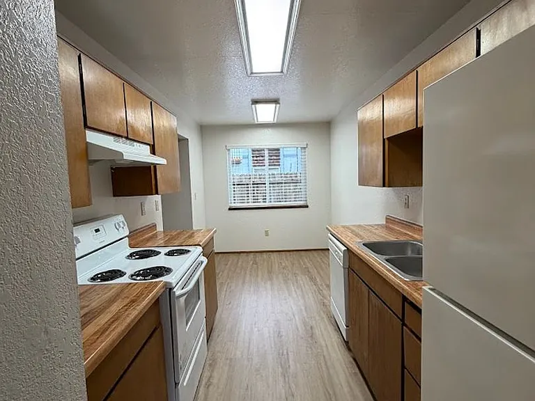 1016 Loni Dr — Photo 26