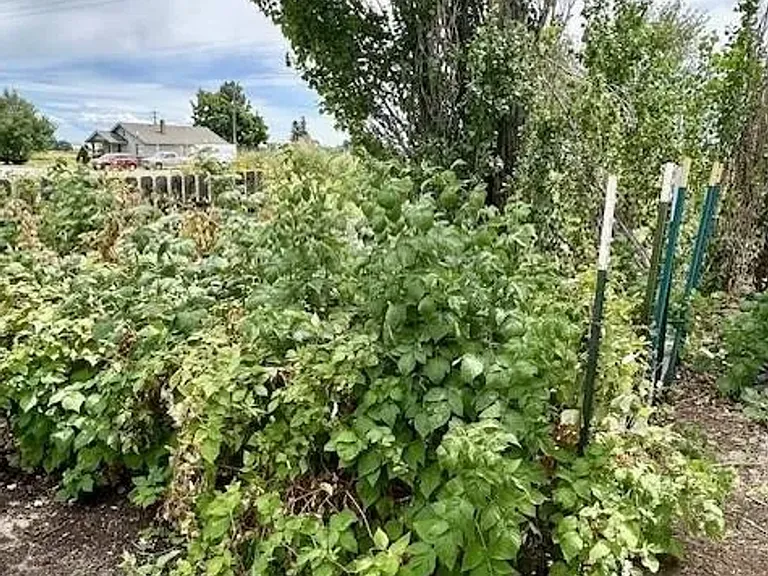 2 N 3737 E — Photo 30
