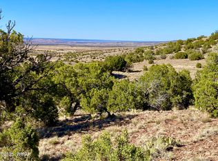 County Road 5062 LOT 1, Concho, AZ 85924