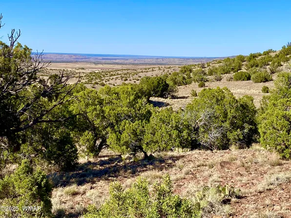 County Road 5062 Lot 1, Concho, AZ 85924