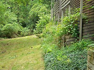 2nd image of 17 Penny Ln