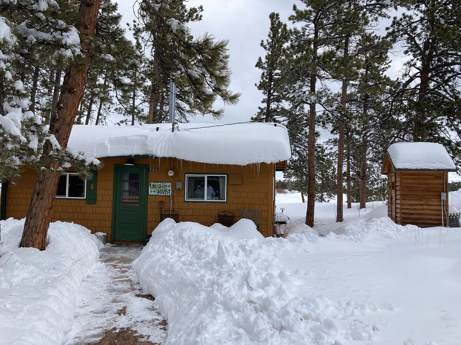 Letitia Dr, Red Feather Lakes — Photo 4