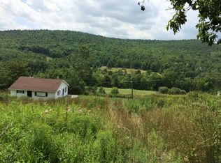 20 Mutton Hill Rd, Addison, NY 14801