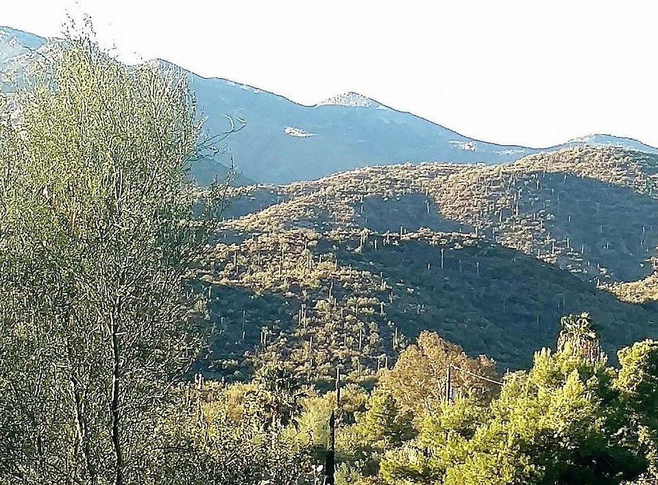 Spectacular View of the Bradshaws