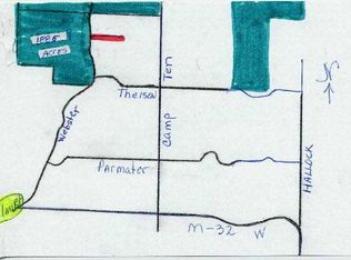 Webster Road 10 Acres, Elmira, MI 49730