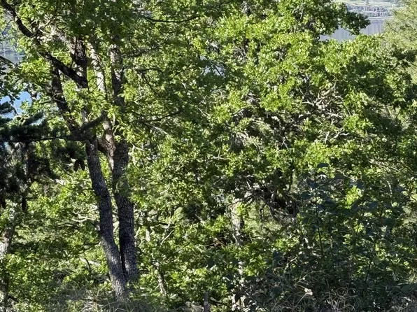 Coyote Ct Lot 43, Mosier, OR 97040
