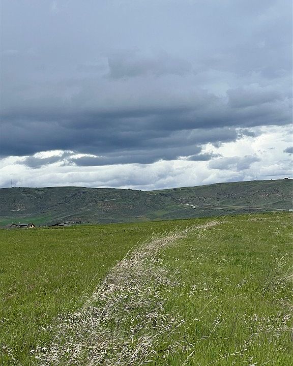 1st image of 38350 Cattails Court