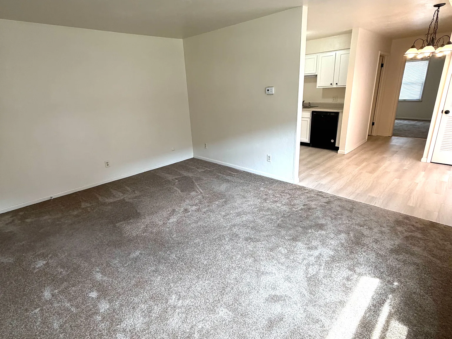 1 bed, $995 — Photo 2