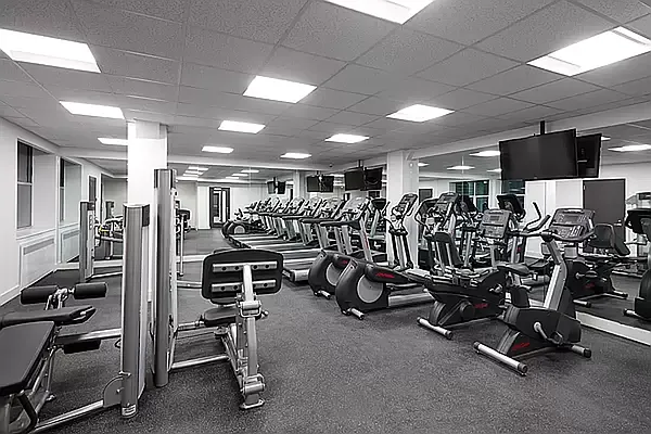 Rented by Douglas Elliman | media 17