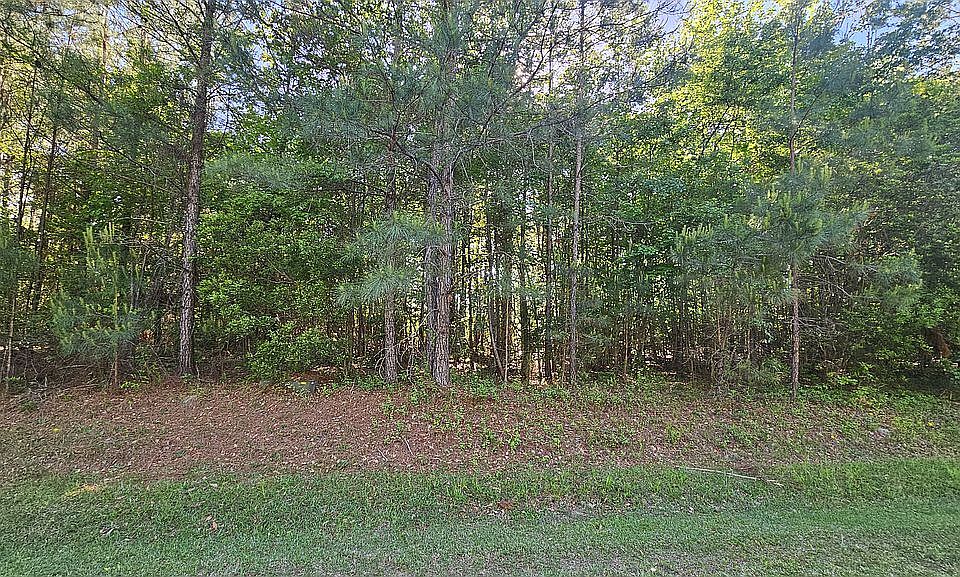 1st image of LOT 51 Eagle Nest Trl