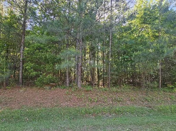 LOT 51 Eagle Nest Trl, Blounts Creek, NC 27814