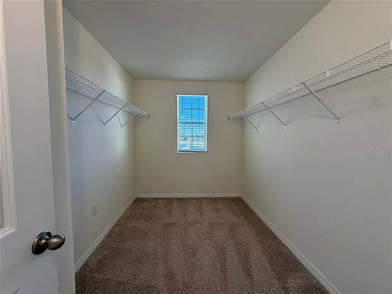 12072 Downy Birch Dr — Photo 17