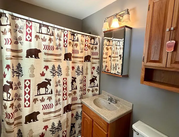16820 N Crownview Dr — Photo 16