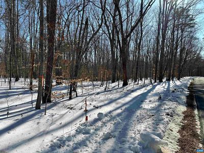 1 Beaver Dam Ct, Keswick, VA, 22947