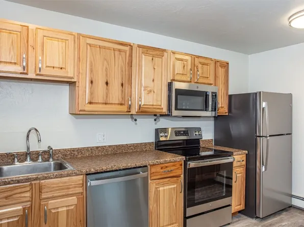 220 Galena Street UNIT 3, Frisco, CO 80443