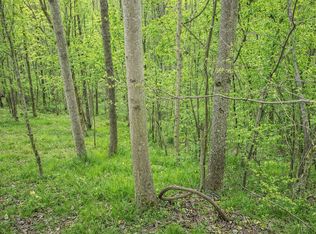 114 Shoreside Dr Lot 114, Smithville, TN 37166
