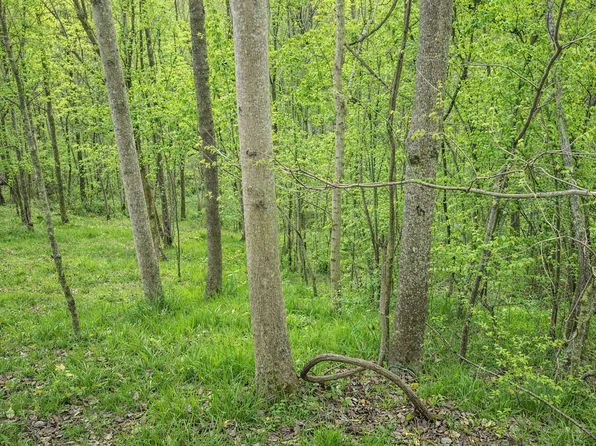 114 Shoreside Dr Lot 114, Smithville, TN 37166