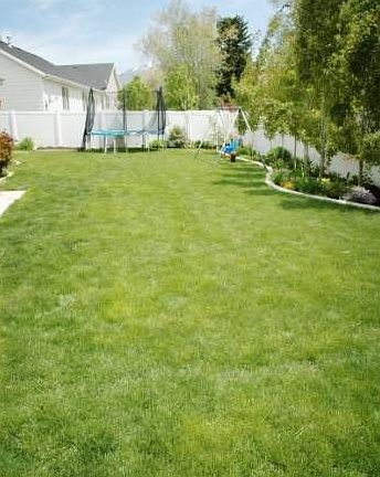 back yard