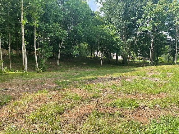 4th image of 161 Illinois Ave Lot 161
