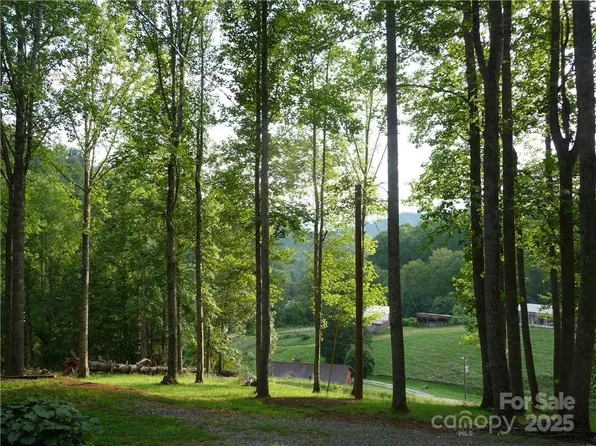 0 Joe Shoemaker Rd, Vilas, NC 28692