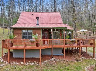 541 Black Ankle Creek Rd, Cherry Log, GA