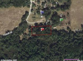 Terrell Rd, Mount dora, FL 32757