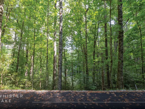 Lot 64 Grandview Court, Sapphire, NC 28774