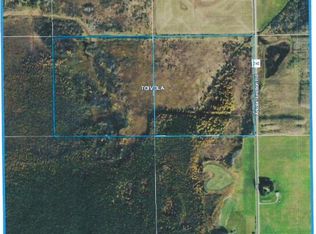 Tbd Arkola Junction Road Toivola Twp, Meadowlands, MN 55765