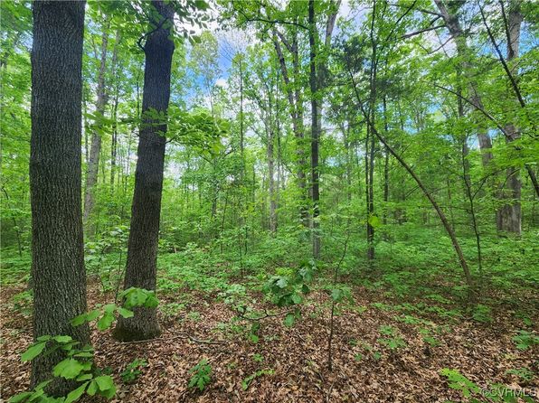 0 Robinson Rd, Goochland, VA 23063