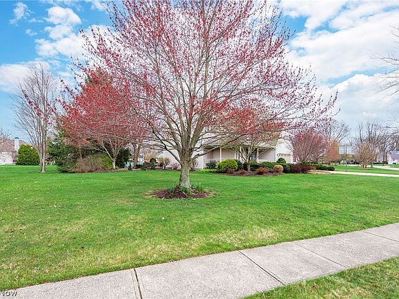 3rd image of 35602 Livingston Dr