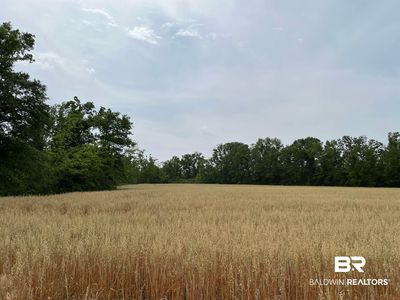 0 County Road 34 S, Summerdale, AL, 36580