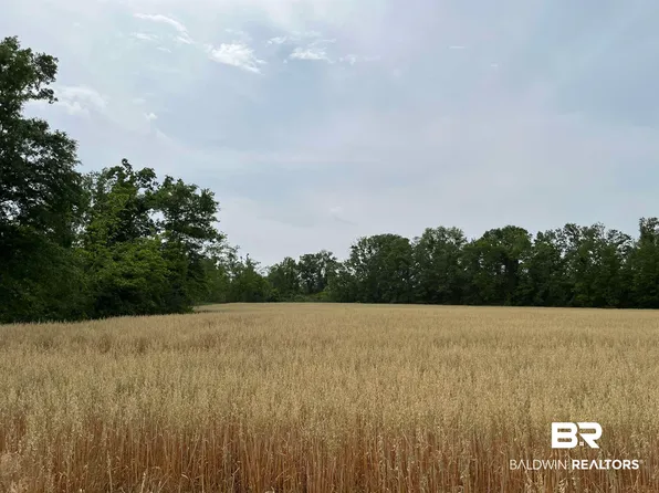 0 County Road 34 S, Summerdale, AL 36580