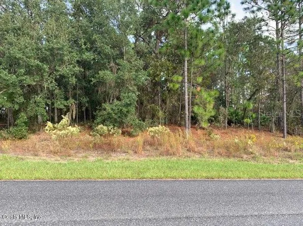 6787 N Pavilion Loop, Citrus Springs, FL 34433