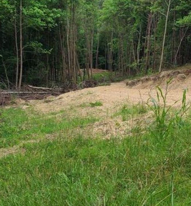 2nd image of 0 Wintergreen Dr