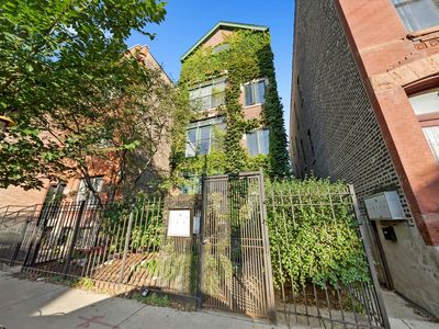 819 N Damen Ave #3, Chicago, IL, 60622