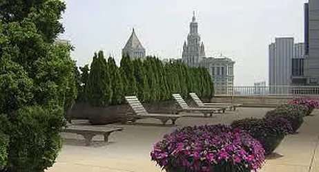 Rented by DJK Residential