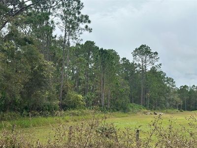 Settlers Loop, Geneva, FL, 32732