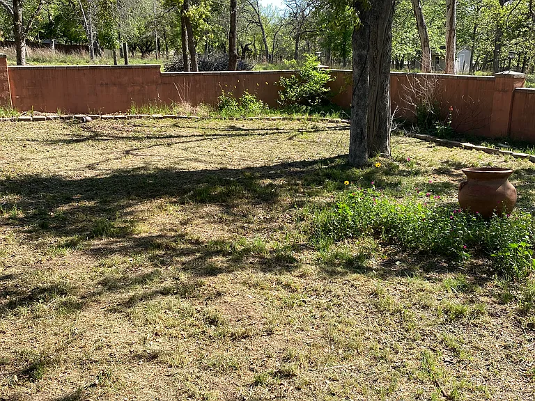 815 Shady Grove Ln — Photo 24