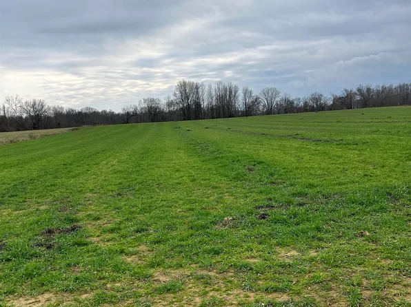 1 Scholes Ln, Stanton, TN 38069