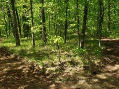 3115 State Line Rd, Menlo, GA, 30731