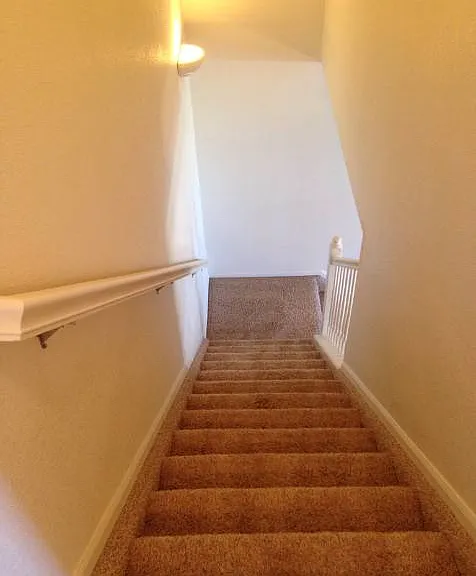 431 Black Feather Loop #818 — Photo 6