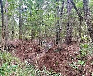 1st image of 8 Lonestar Rd