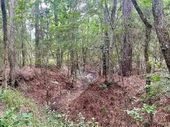 8 Lonestar Rd, Huntsville, TX 77340
