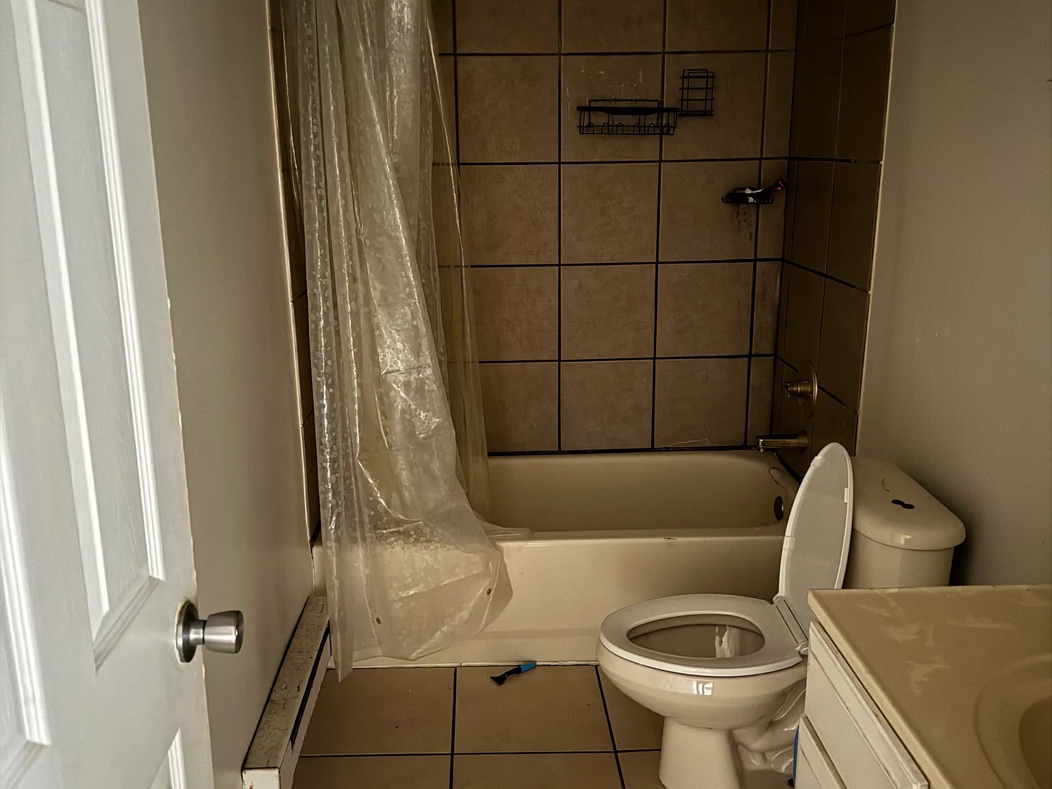 2 bed, 800 sqft, $1,300 — Photo 2