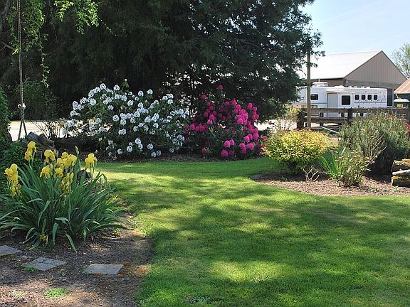 Back yard