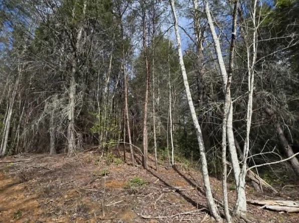 4 Kerlee Ln, Old Fort, NC 28762